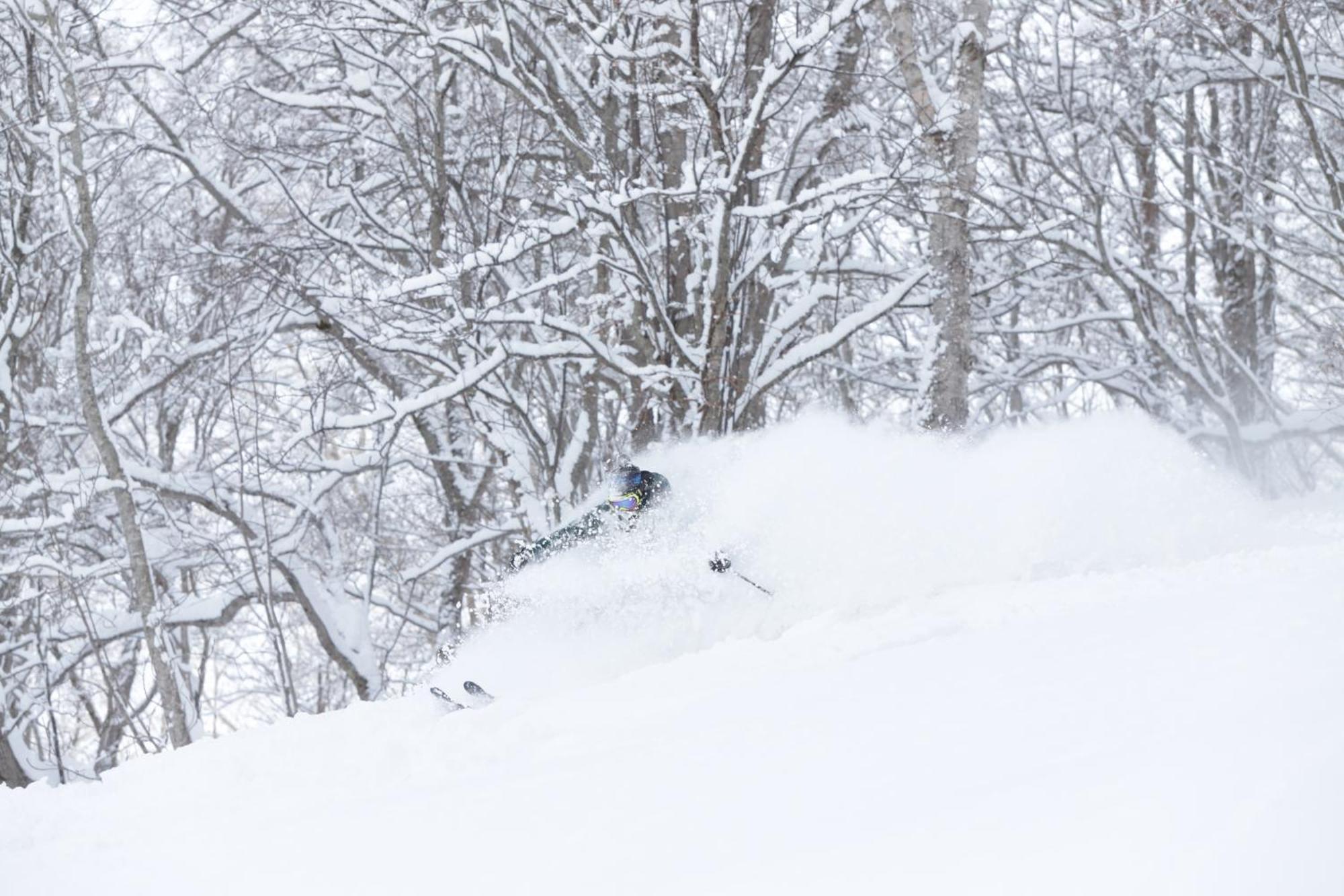 Niseko Highland Cottages Ngoại thất bức ảnh