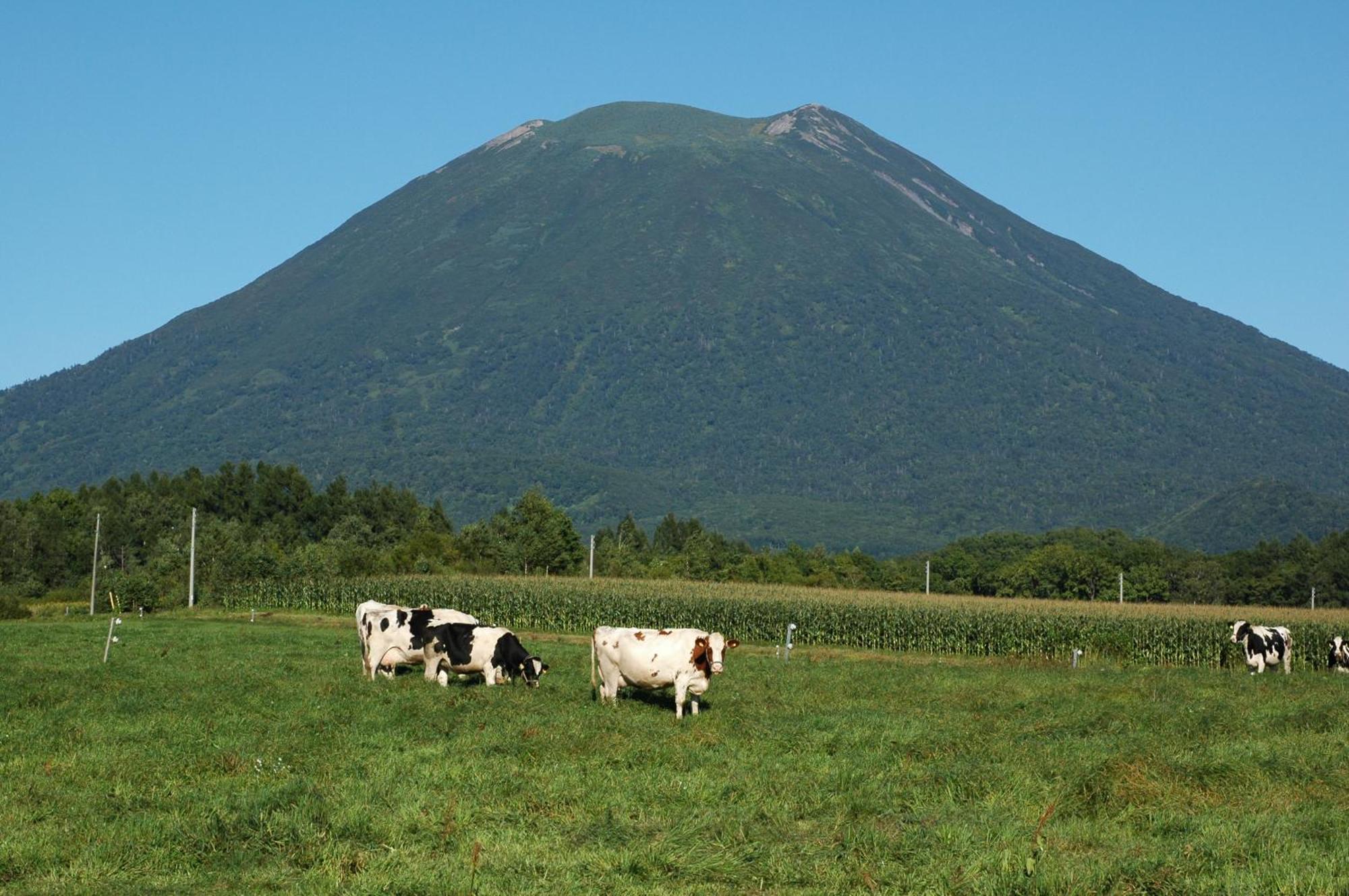 Niseko Highland Cottages Ngoại thất bức ảnh