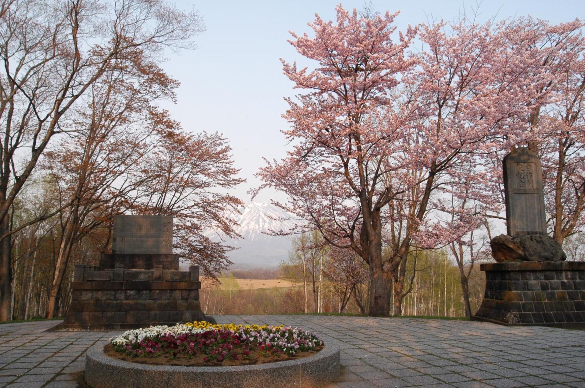 Niseko Highland Cottages Ngoại thất bức ảnh