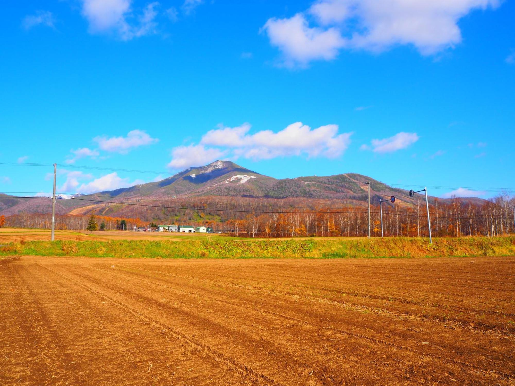 Niseko Highland Cottages Ngoại thất bức ảnh